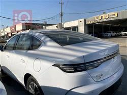 بی وای دی دیسترۆیەر 05